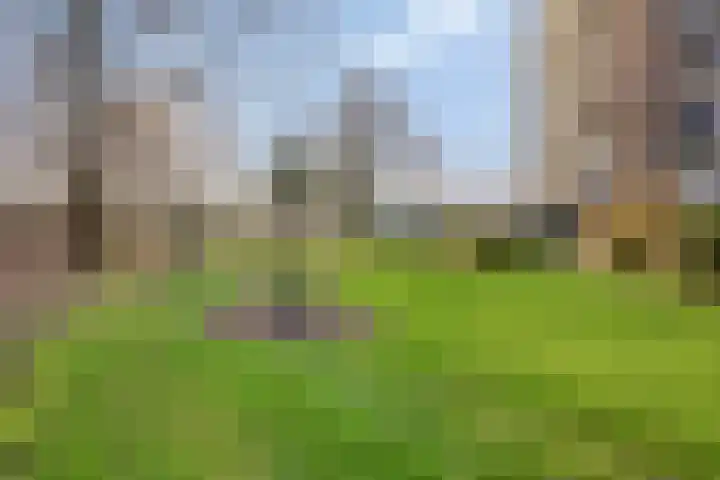 Papendonk 3 Oosterhout thumbnail 19