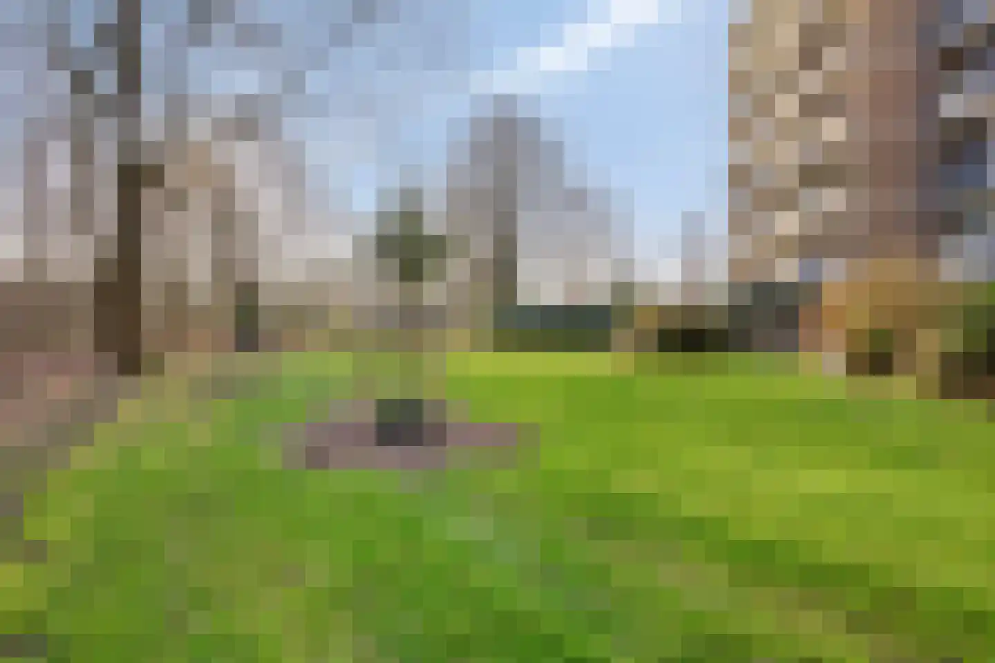 Papendonk 3 Oosterhout thumbnail 19