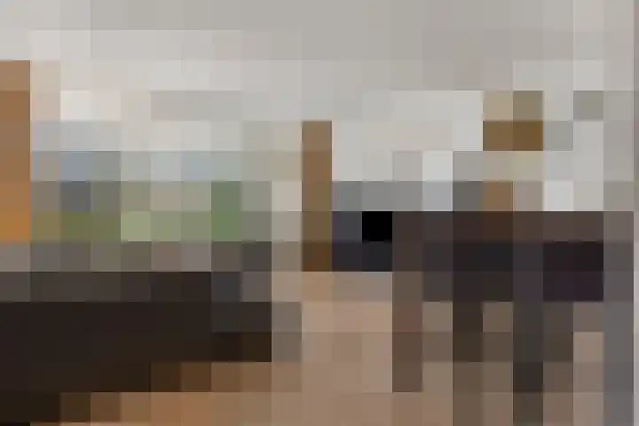 Papendonk 3 Oosterhout thumbnail 6