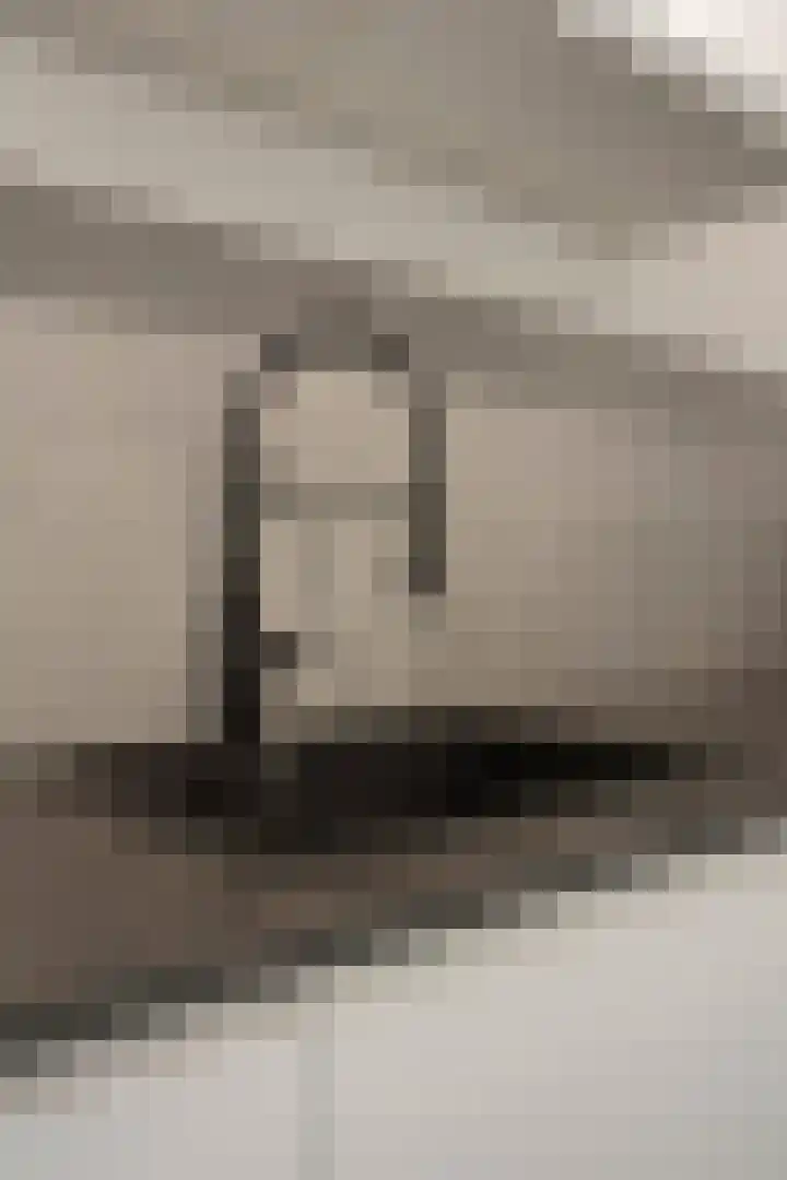 Papendonk 3 Oosterhout thumbnail 8
