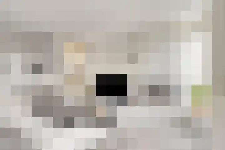 Papendonk 6 Asten thumbnail 11