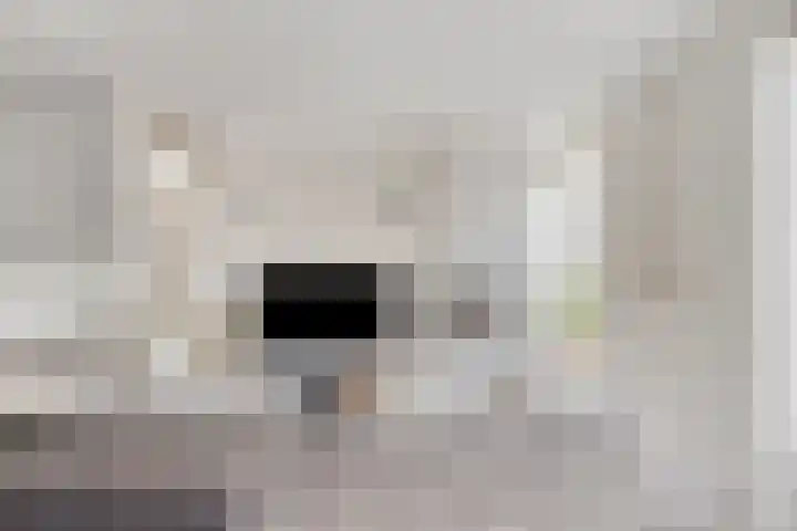 Papendonk 6 Asten thumbnail 12