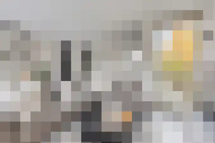 Papendonk 6 Asten thumbnail 13