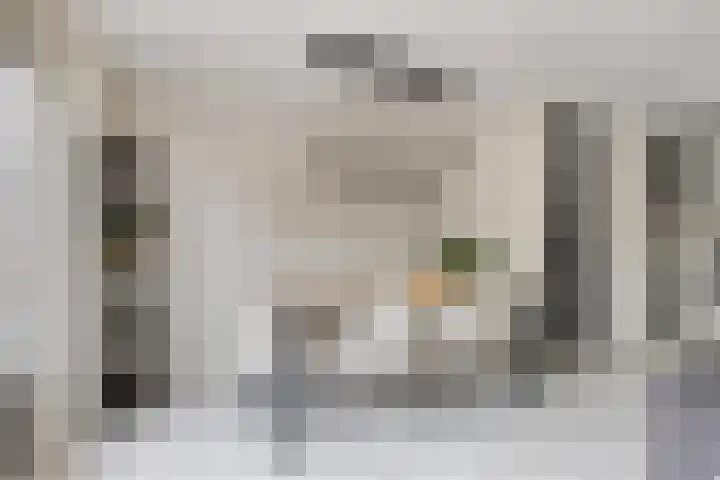Papendonk 6 Asten thumbnail 15