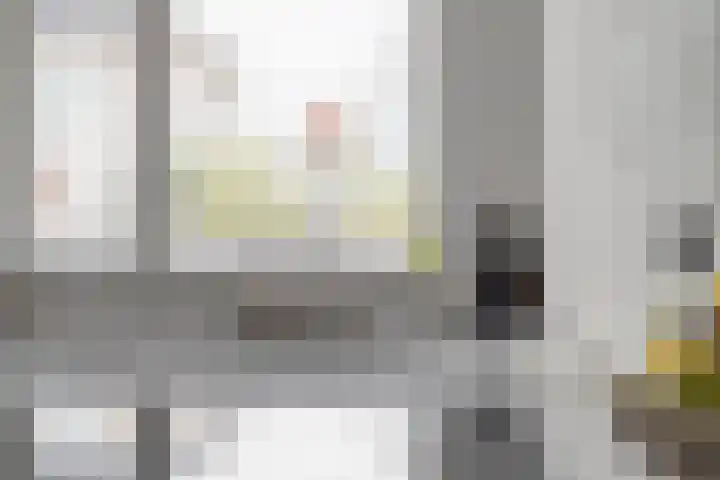 Papendonk 6 Asten thumbnail 21