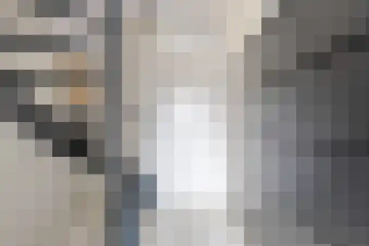 Papendonk 6 Asten thumbnail 23