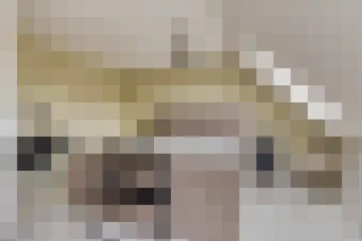 Papendonk 6 Asten thumbnail 24