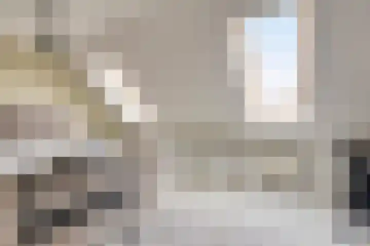 Papendonk 6 Asten thumbnail 25