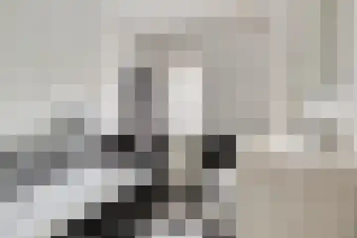 Papendonk 6 Asten thumbnail 29
