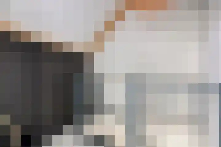 Papendonk 6 Asten thumbnail 31