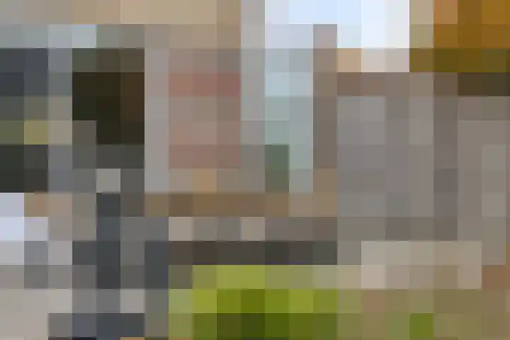 Papendonk 6 Asten thumbnail 37