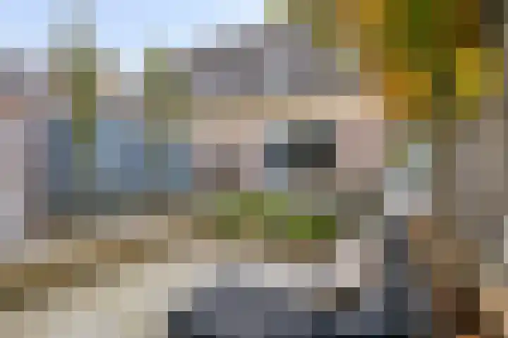 Papendonk 6 Asten thumbnail 40