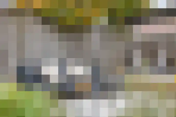 Papendonk 6 Asten thumbnail 41