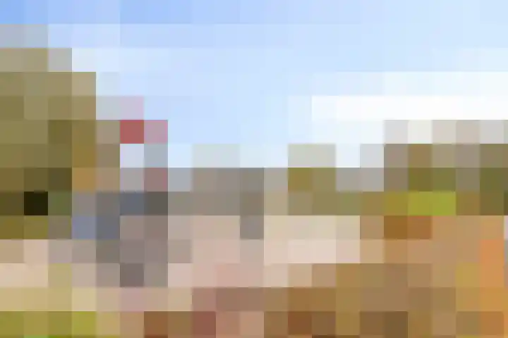 Papendonk 6 Asten thumbnail 46