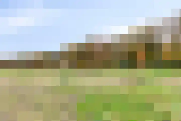 Papendonk 6 Asten thumbnail 48