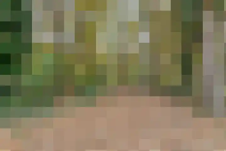 Papendonk 6 Asten thumbnail 49
