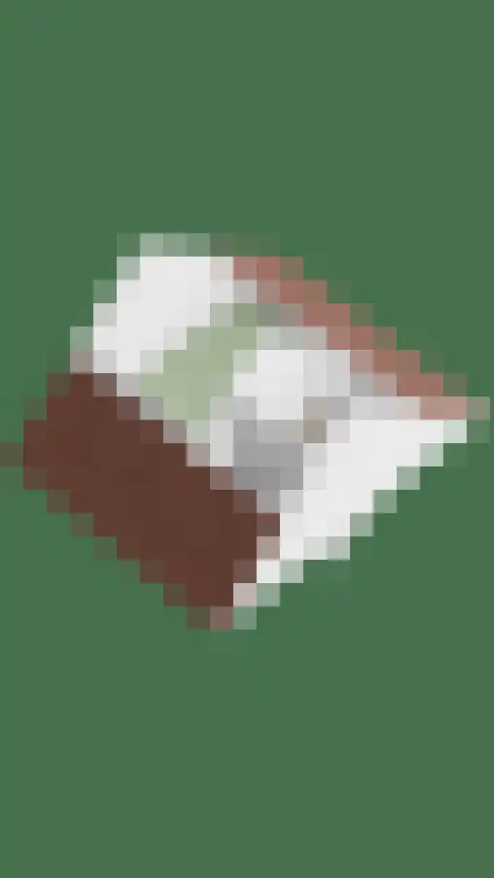 Papendonk 6 Asten thumbnail 55