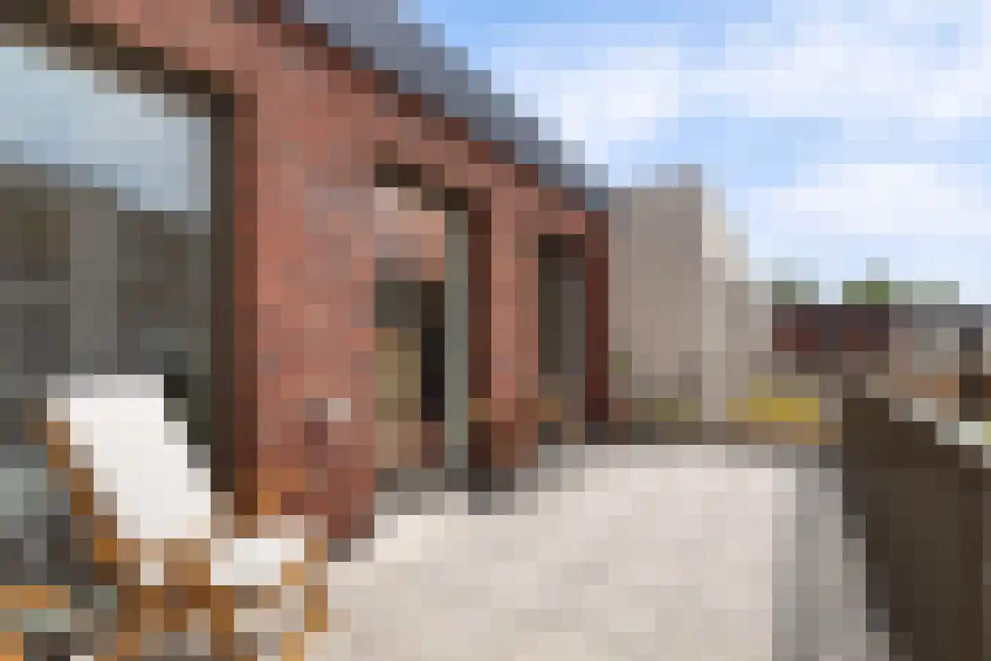 Papendrechtsestraat 97 Dordrecht thumbnail 39