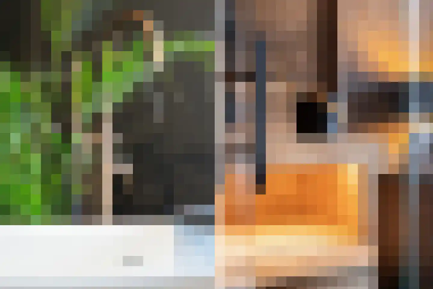 Papendrechtsestraat 99 Dordrecht thumbnail 33