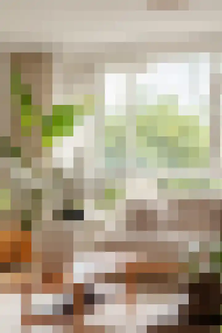 Papendrechtstraat 67 Amsterdam thumbnail 6
