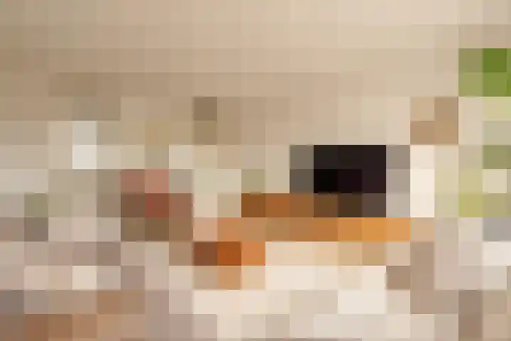 Papendrechtstraat 67 Amsterdam thumbnail 7