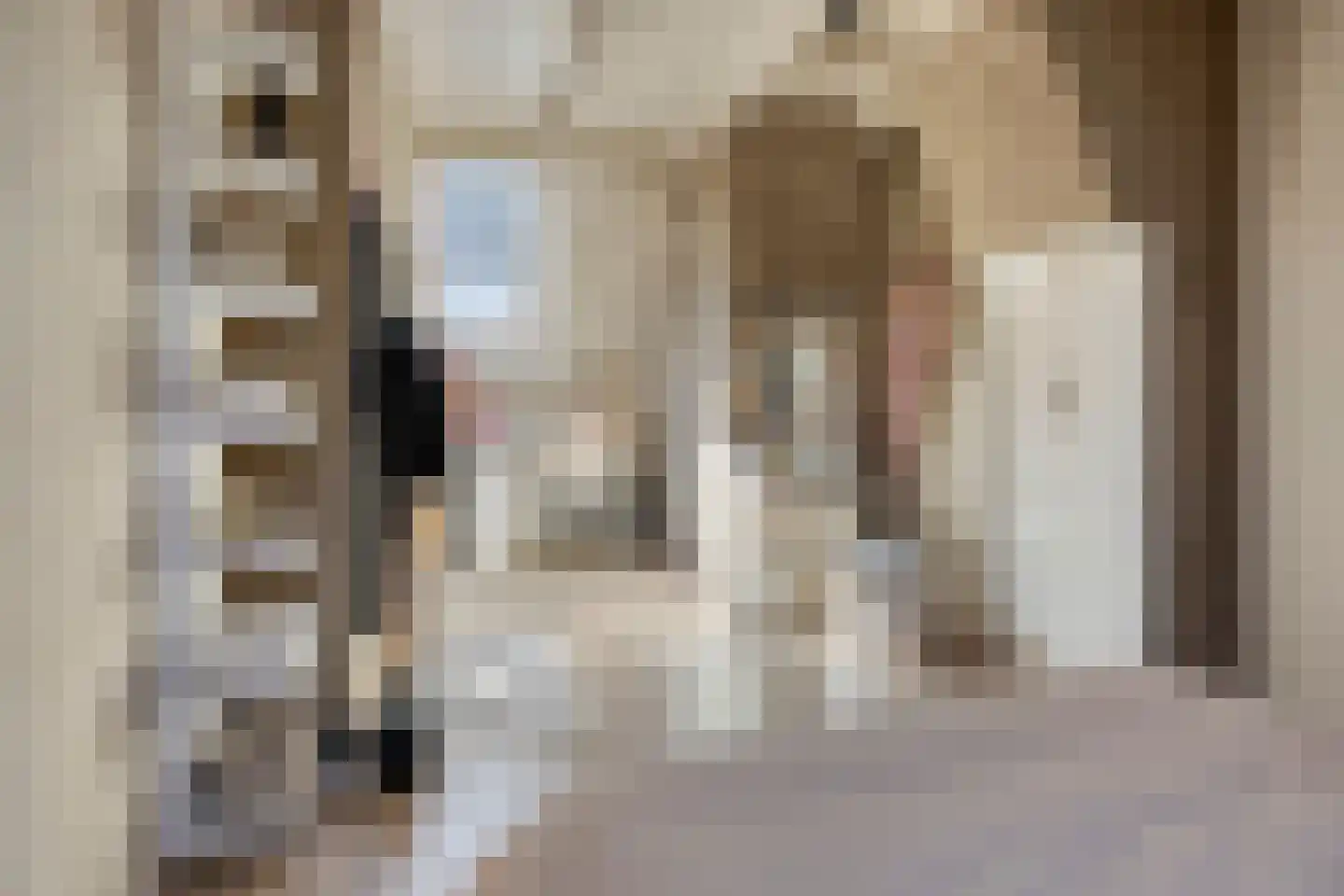 Papendwarsstraat 10 Zwolle thumbnail 18