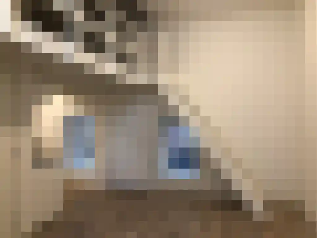Papengang 1 Groningen thumbnail 4