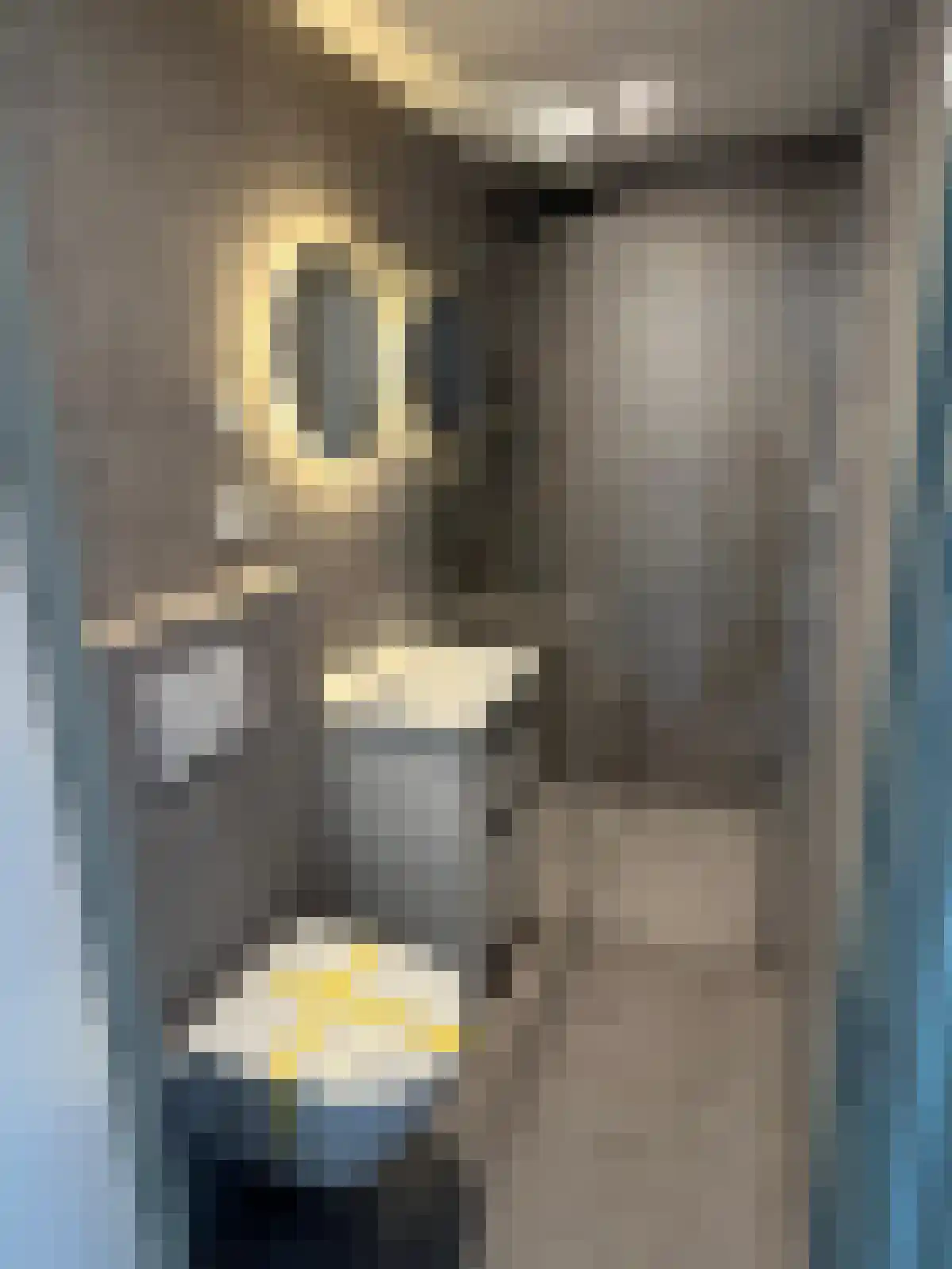 Papengang 2 b Groningen thumbnail 4