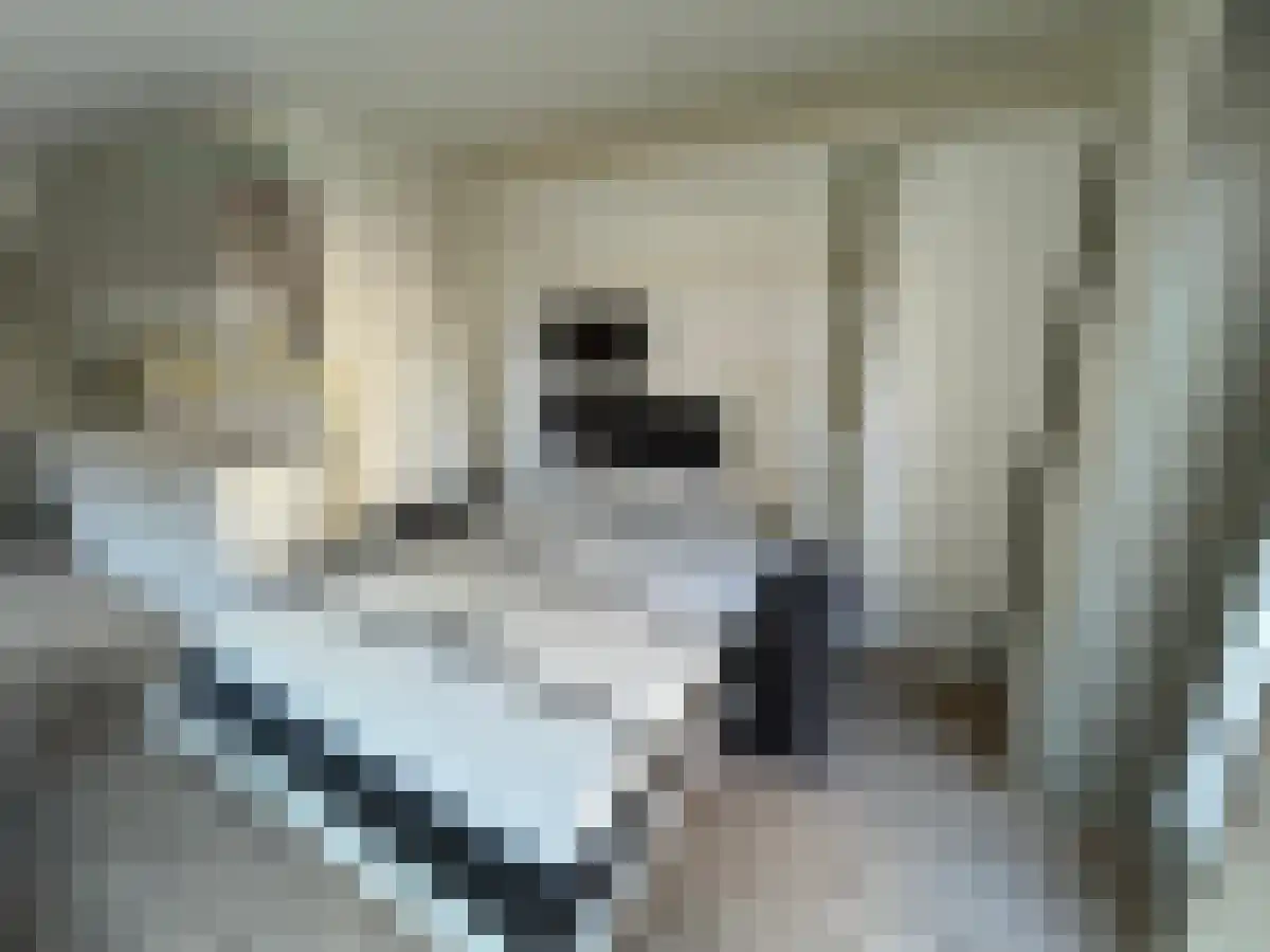 Papengang 2 b Groningen thumbnail 6