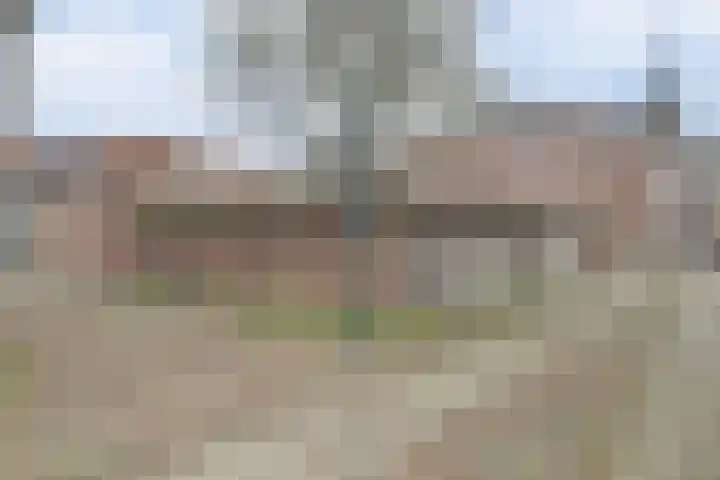 Papengang 5 Grave foto 2