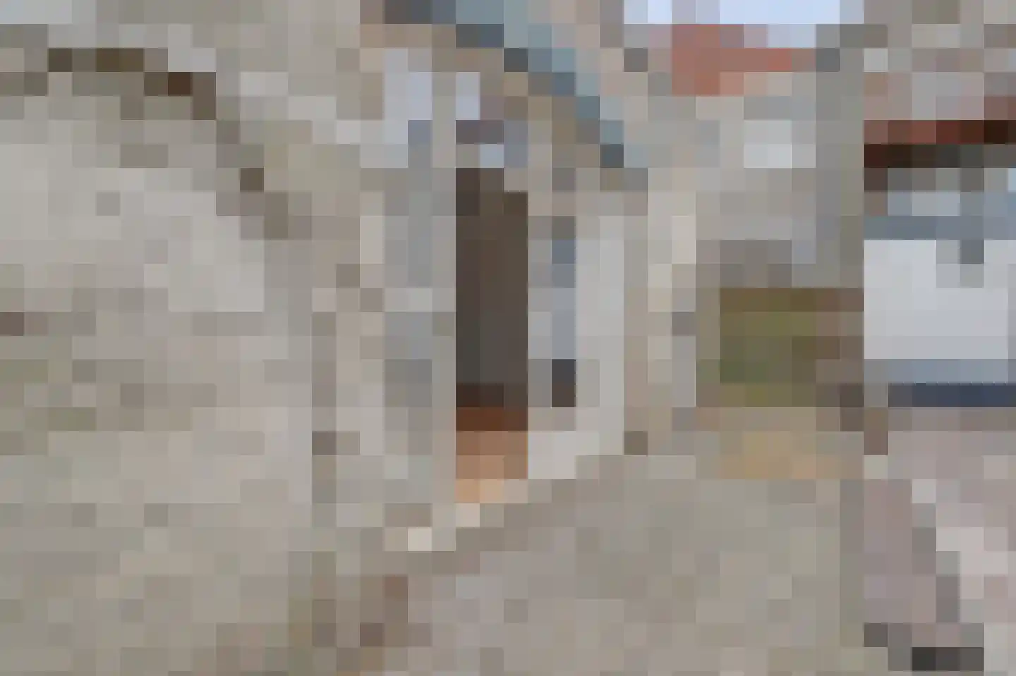 Papengang 5 Grave thumbnail 21