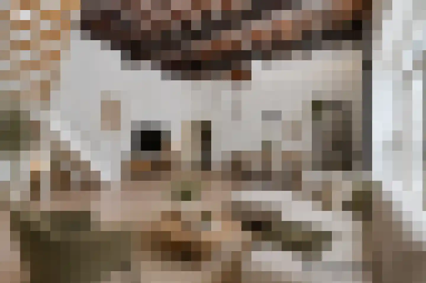 Papengang 5 Grave thumbnail 8
