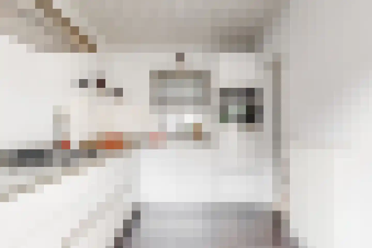 Papengracht 20 Leiden thumbnail 11