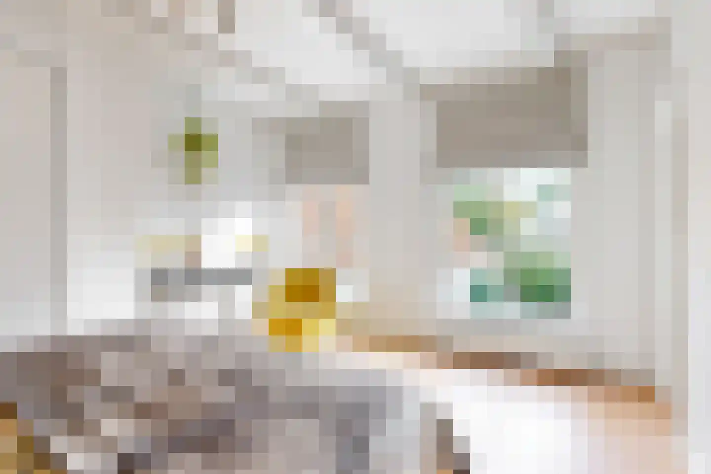Papengracht 20 Leiden thumbnail 13