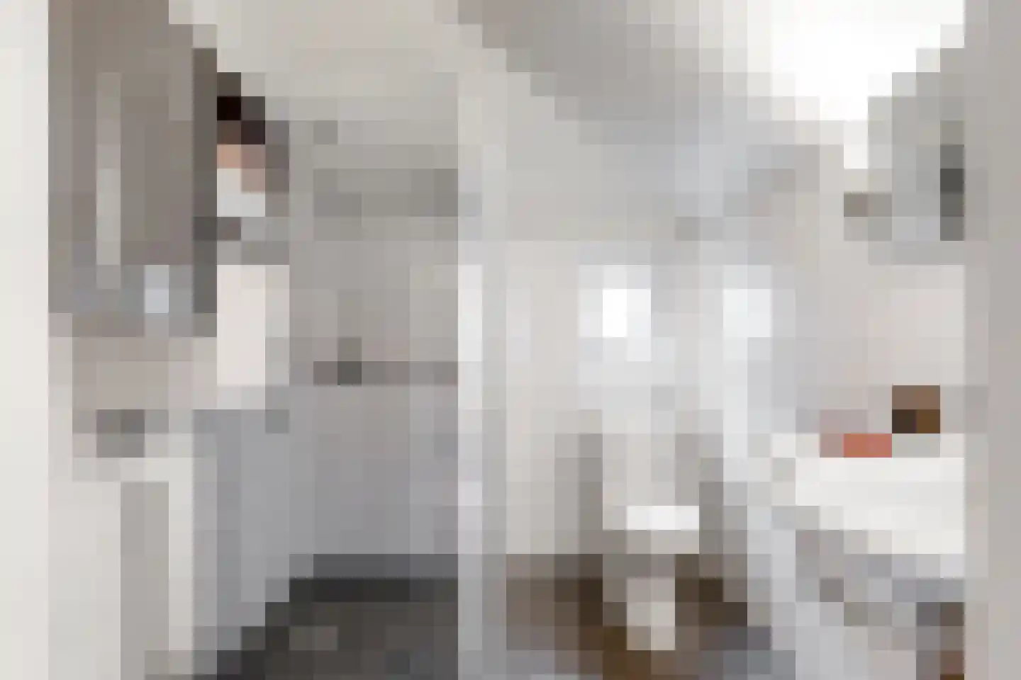 Papengracht 20 Leiden thumbnail 14