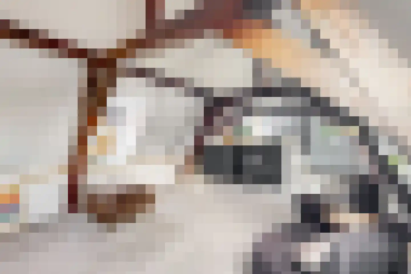 Papengracht 20 Leiden thumbnail 15