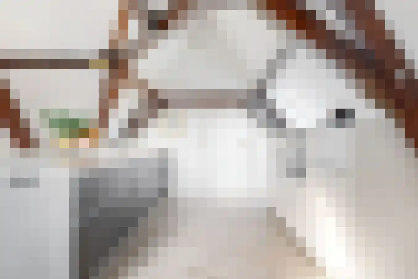 Papengracht 20 Leiden thumbnail 18