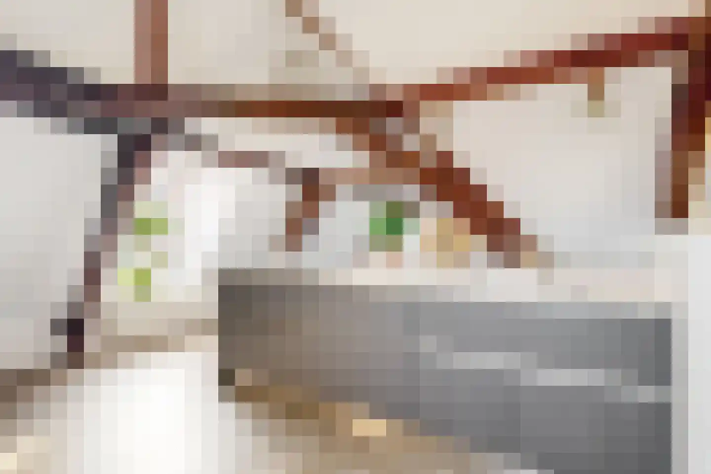 Papengracht 20 Leiden thumbnail 19
