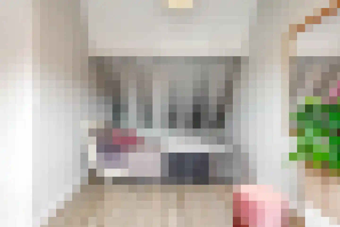 Papengracht 20 Leiden thumbnail 20