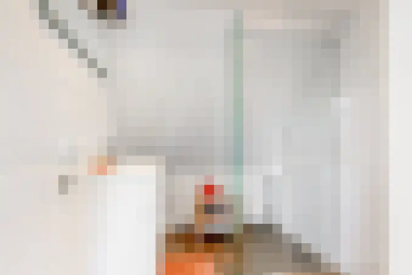 Papengracht 20 Leiden thumbnail 22