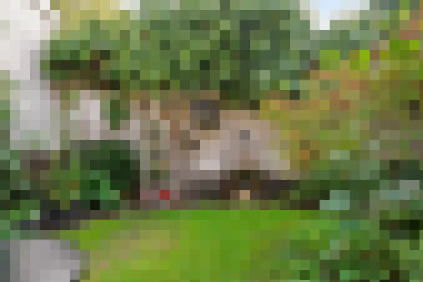Papengracht 20 Leiden thumbnail 29