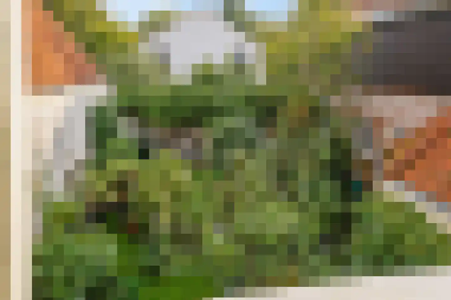Papengracht 20 Leiden thumbnail 32