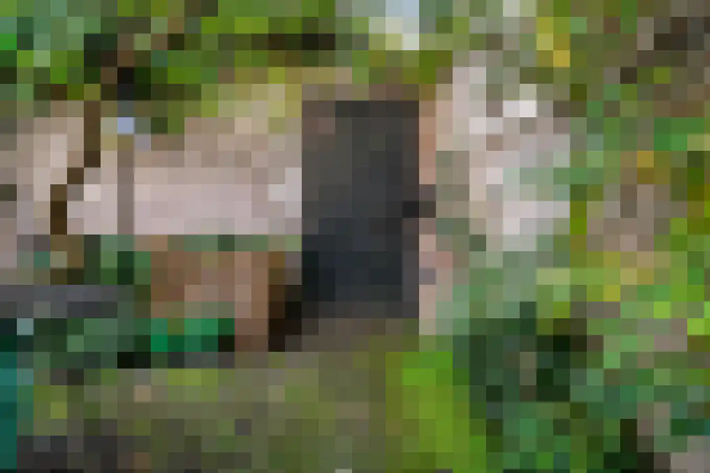 Papengracht 20 Leiden thumbnail 34