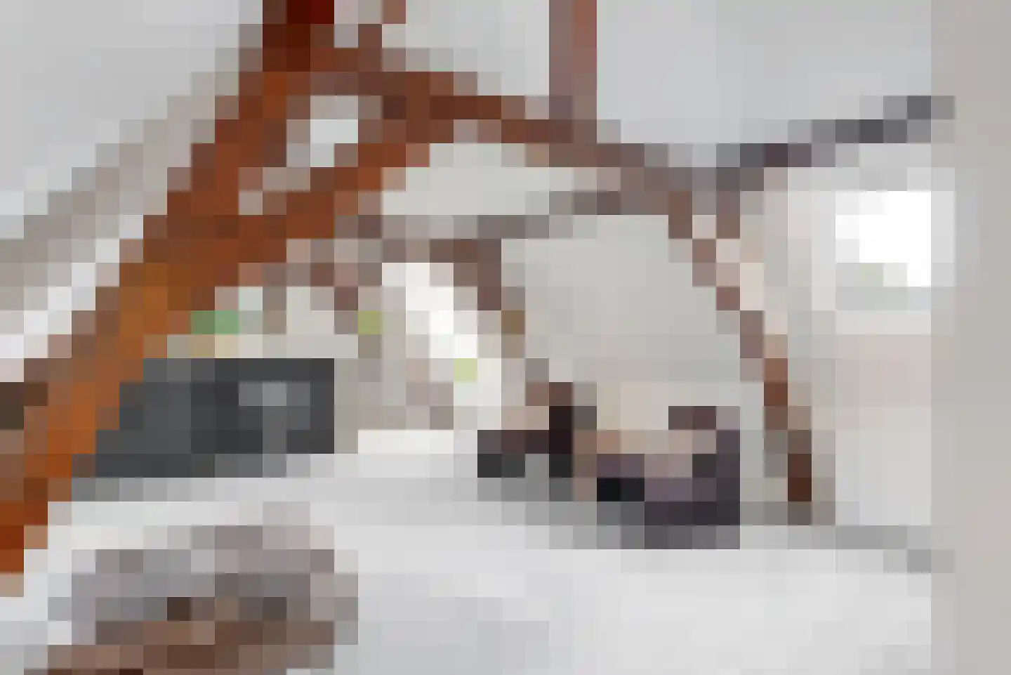 Papengracht 20 Leiden thumbnail 4