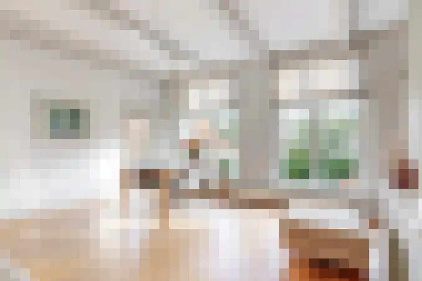 Papengracht 20 Leiden thumbnail 6