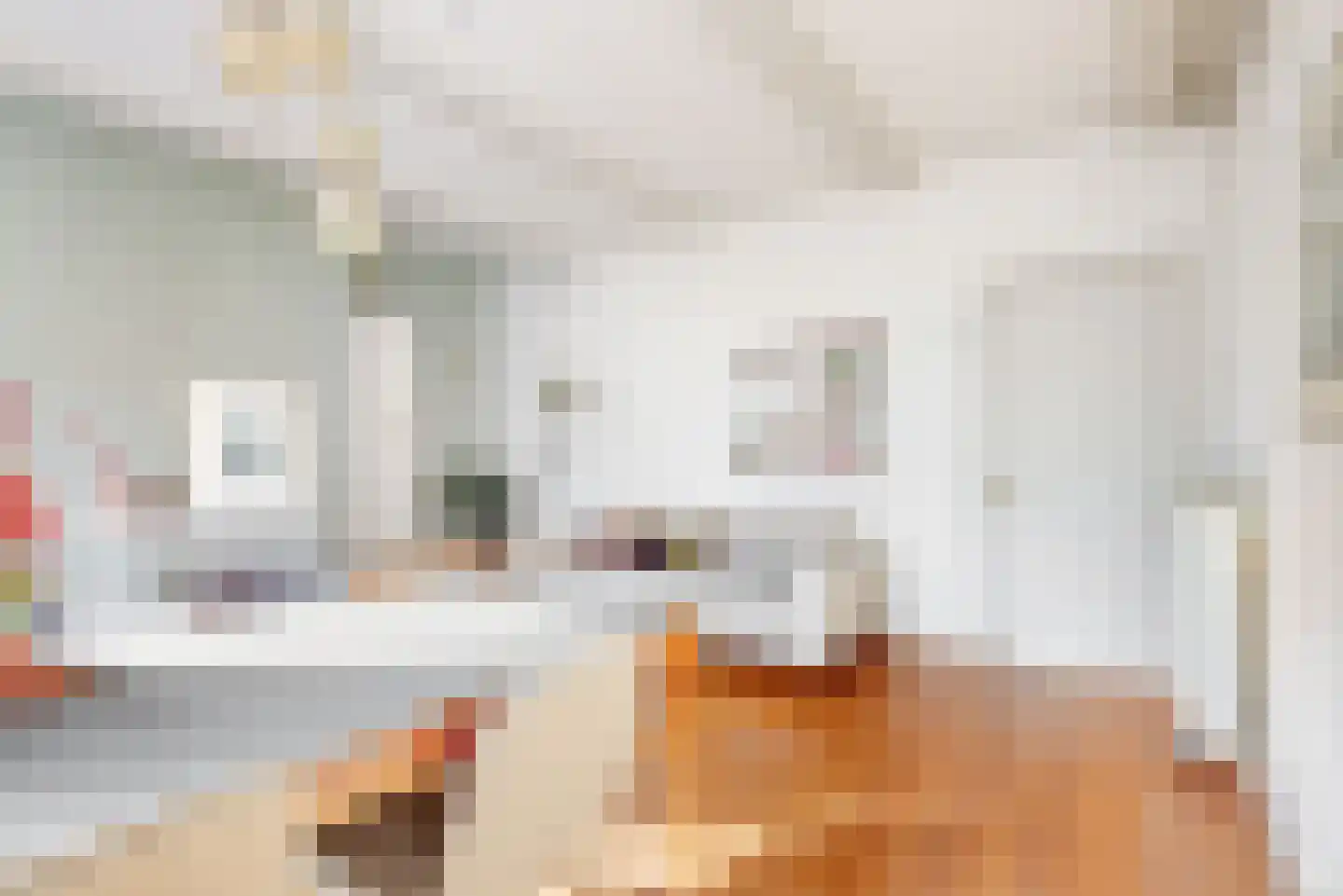 Papengracht 20 Leiden thumbnail 8