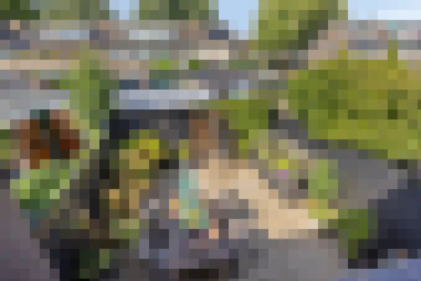 Papenhoeflaan 20 Oudewater thumbnail 18