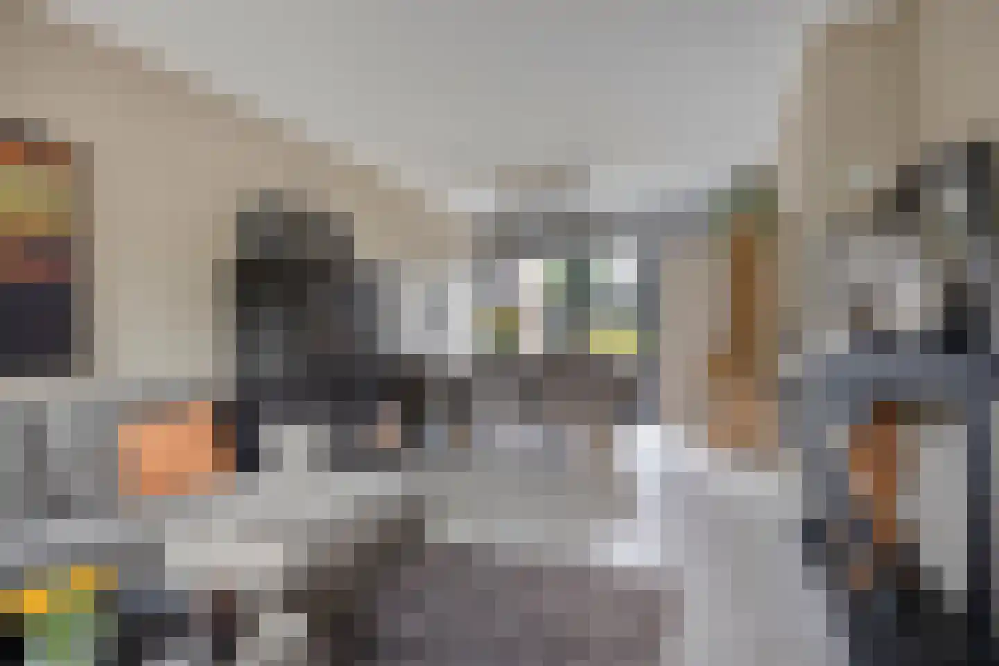 Papenhoeflaan 20 Oudewater thumbnail 4