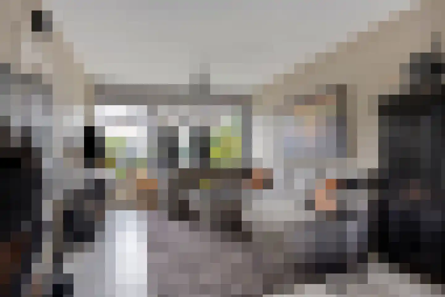 Papenhoeflaan 20 Oudewater thumbnail 5