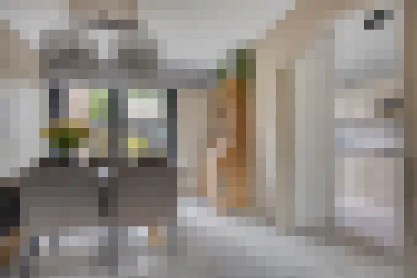 Papenhoeflaan 20 Oudewater thumbnail 6